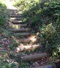 絵本を幼児に読み聞かせるブログ-ふじやま公園