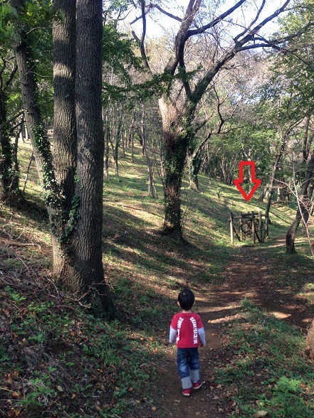 絵本を幼児に読み聞かせるブログ-ふじやま公園